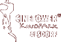 Cinetower Alsdorf
